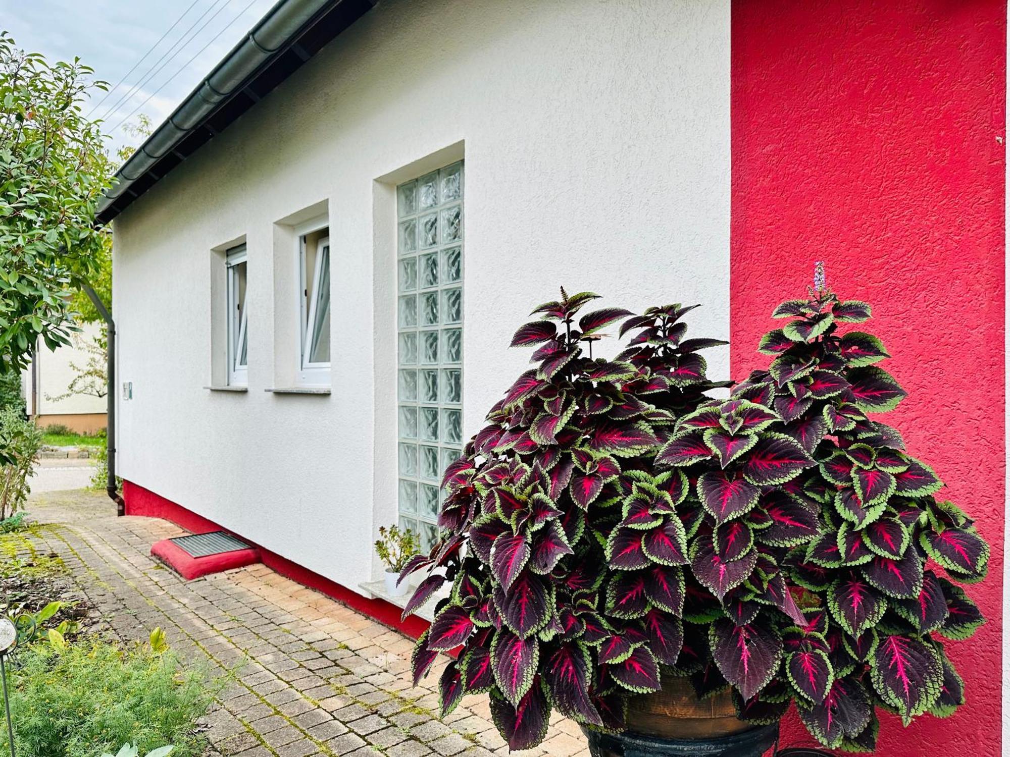 ☆Gemuetliche 1-Zimmerwohnung Mit Terrasse☆ Rielingshausen Buitenkant foto